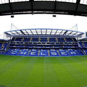 Meet your Posher, Miles